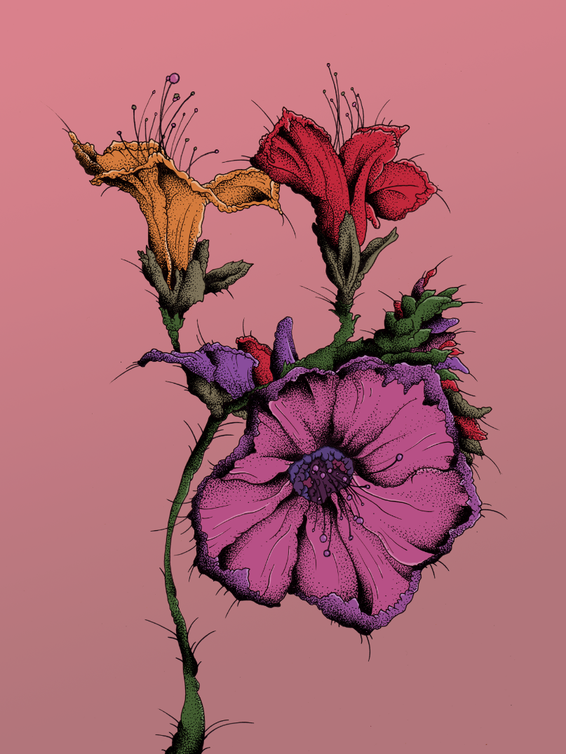 matthewade:  “Agenda” (2012) 