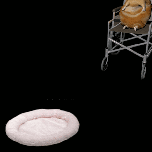 You're sexy sexy