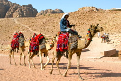 l-atitude:  Petra, Jordan 