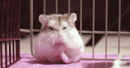 @AdorableBipolar