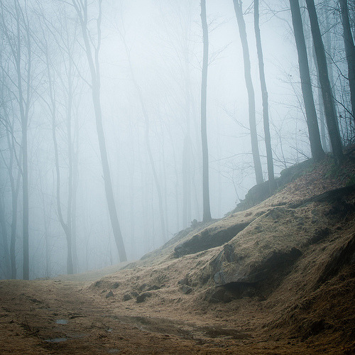 landscapepalettes:  Untitled (by *Blueberry Pie) 