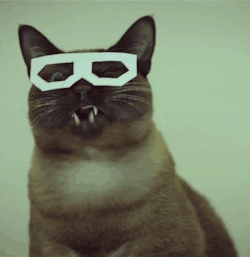 Ah, that&rsquo;s russian hipster cat lol