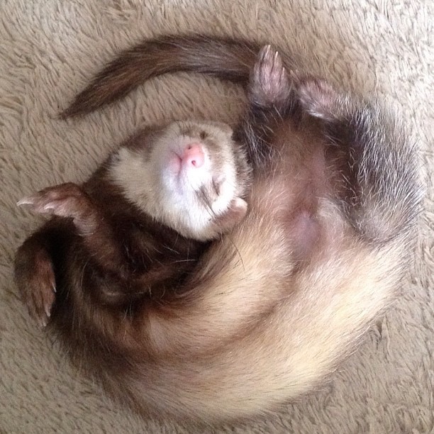 fucking cuuuutie omg. 