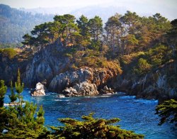 sav3mys0ul:  Point Lobos, CA 