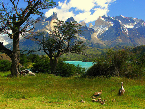 Cuernos del Paine seen from Camping Pehoe, Patagonia, Chile (by headlessmonk).