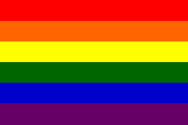 knowhomo:  LGBTQ* Pride Flags You Should Know #1: LGBTQ* Pride (**first flag in 1978