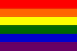 knowhomo:  LGBTQ* Pride Flags You Should Know #1: LGBTQ* Pride (**first flag in 1978 with 8 colors represented Lesbian/Gay culture) #2: Bisexual Pride #3: Pansexual Pride #4: Asexual/Ace Pride #5: Genderqueer Pride (click HERE for more information) #6: