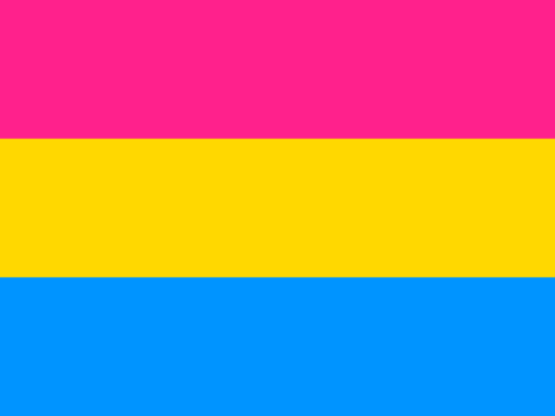 knowhomo:  LGBTQ* Pride Flags You Should Know #1: LGBTQ* Pride (**first flag in 1978
