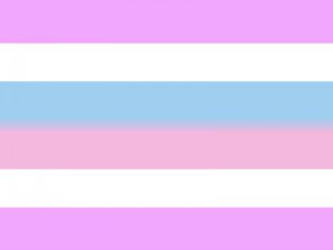 knowhomo:  LGBTQ* Pride Flags You Should Know #1: LGBTQ* Pride (**first flag in 1978