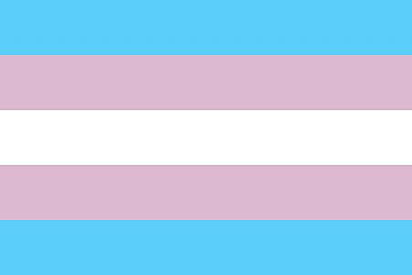 knowhomo:  LGBTQ* Pride Flags You Should Know #1: LGBTQ* Pride (**first flag in 1978