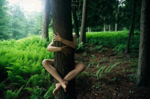 tree huggers unite