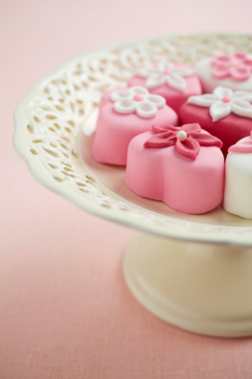 Porn gastrogirl:  cherry blossom petit fours. photos