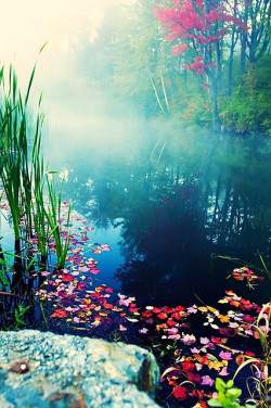 Bluepueblo:  Misty Pond, Stowe, Vermont  Photo Via Theups 