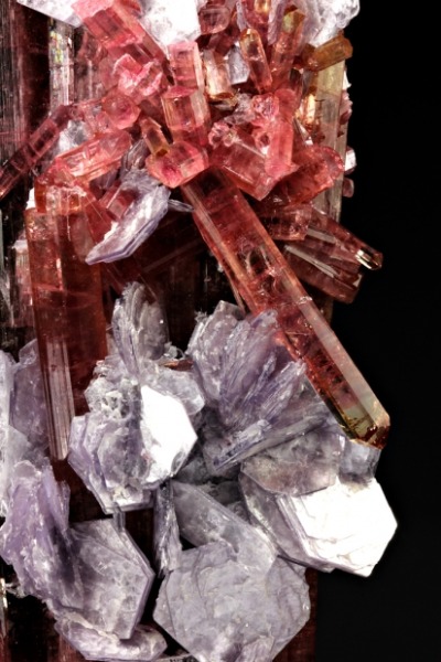 mineralia:
“Elbaite with Lepidolite from Brazil by Dan Weinrich
”