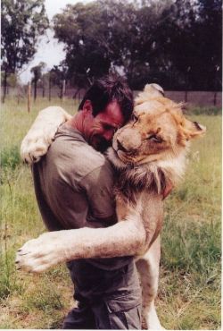 colormeeuphoric:  This man bought a lion