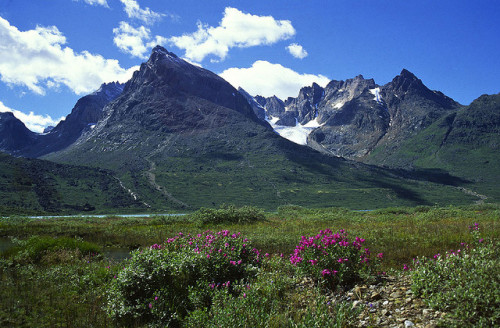 Paradise in southern Greenland. Qinngua Valley (by Jon Vidar).