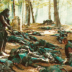 Boromir culiao rico wn