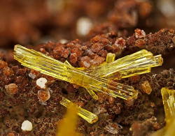 sarahmagdalena:  Love these yellow transparent crystals of Legrandite.