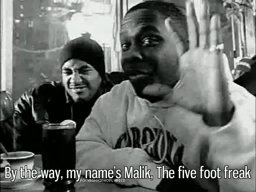 r.i.p phife dawg
