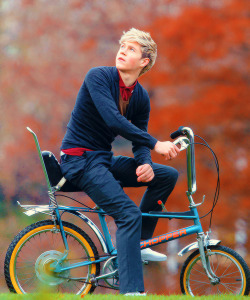 snuggling-nialler:  I wanna ride that…and