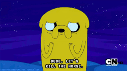 https://69.media.tumblr.com/tumblr_m1h2nhqtgN1r9061oo1_500.gif
