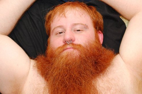 thejoemoose:  grisser:  satyrbuddy:  wedontknowjack:  Beard Ambition.  oh fuck  bbbeeeeeaaarrdddd  I am suffering from SUCH a hard-on right now…fuck…  I love when a big beard and a furry chest collide.