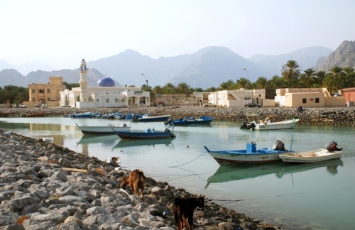 (via Khasab Town, a photo from Musandam, North | TrekEarth) Khasab, Oman