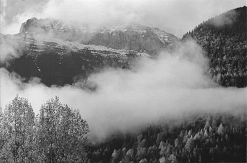 synnestorm:  (by Laura Leal)