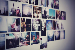 Im jelly of his/her wall. I want it. Where&rsquo;d they get the pictures. GAH.