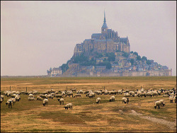 Allthingseurope:  France: Le Mont-Saint-Michel (By Mau_Tweety) 