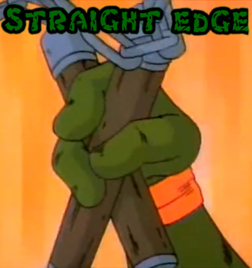 Teenage Mutant Straight Edge Turtles