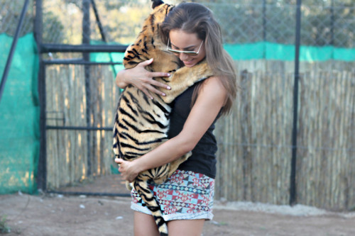 a-mbiance: casually holding a baby tiger…
