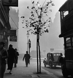 luzfosca:  Wolfgang Suschitzky Charing Cross Road, London, 1937 From I am a lucky man 