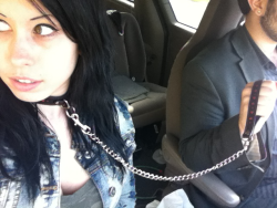 masterandkitten:  ladynecrosis: ladynecrosis: Out for a drive  Reblogging my own photo, because holy shit the notes. 