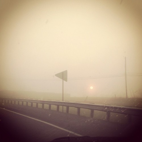 Dirty windshields sun peeking through the fog. #sun #fog #morning #photography #instagram #iphoneography  (Taken with instagram)