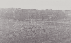 exabrahamford-deactivated201301:  We are all infected 