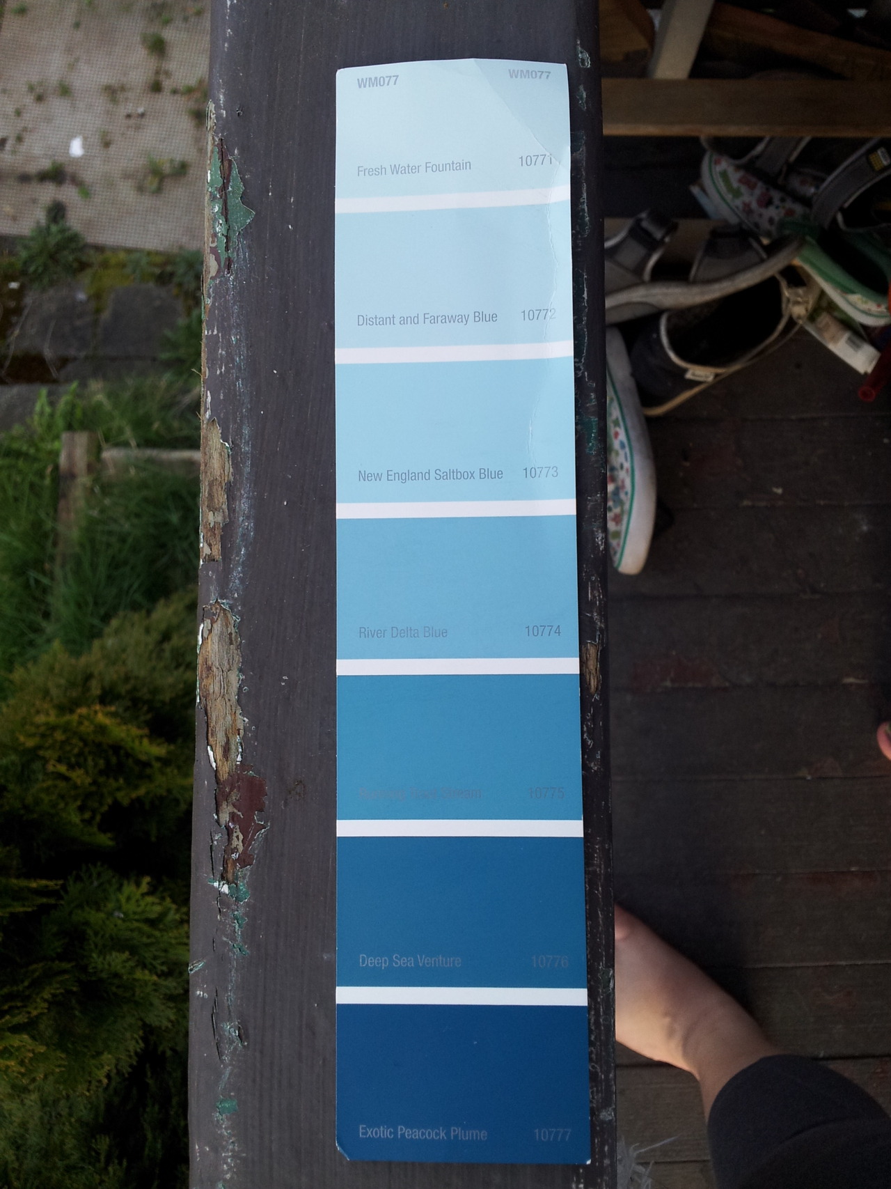 Help me choose a color guise