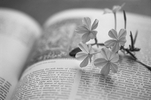 ♡ this too shall pass ♡