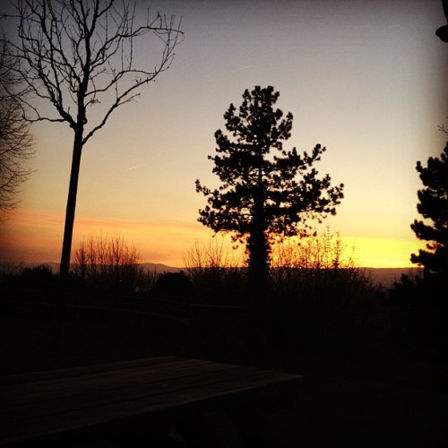Signal (Taken with instagram)