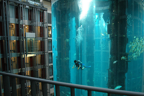 myedol:  AquaDom at the Radisson Blu Hotel. 25 metres tall, containing 1,000,000 litres of seawater and over 1,500 fish of 50 species.     this is just nuts