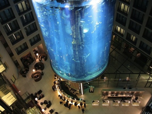 myedol:  AquaDom at the Radisson Blu Hotel. 25 metres tall, containing 1,000,000 litres of seawater and over 1,500 fish of 50 species.     this is just nuts