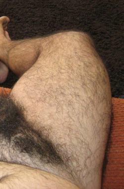 davidspear:  mansmells:  Hot hairy dirty nasty pubes.  Yes! 