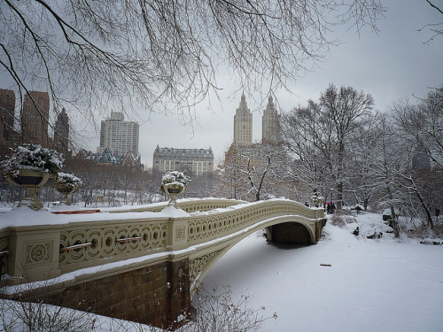 Bow Bridge in the Snow, Central Park, New York City (by Vivienne Gucwa).