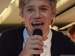 snuggling-nialler:  he’s actually perfect. 