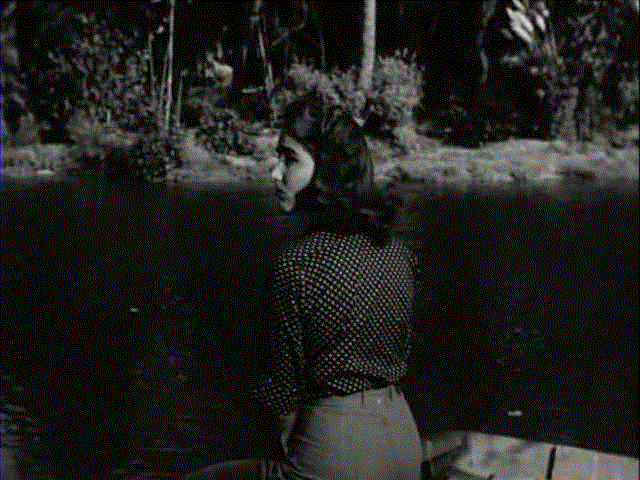 unpocomalo:  Creature From The Black Lagoon (1954) 