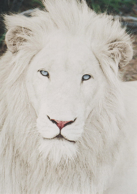 letritasdeamor-xo.tumblr.com/post/22171219703/