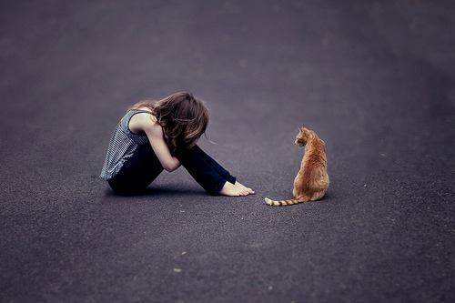 harb0urs:  Day 199 (by crashbangsqueak) 