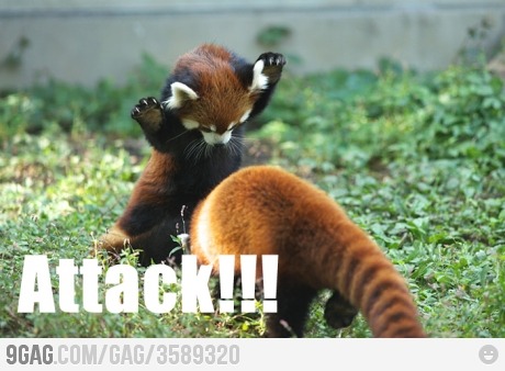9gag:  Charge!!!!!! 