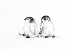 broken-crayon:  2 little penguin chicks by wildsunart on etsy 