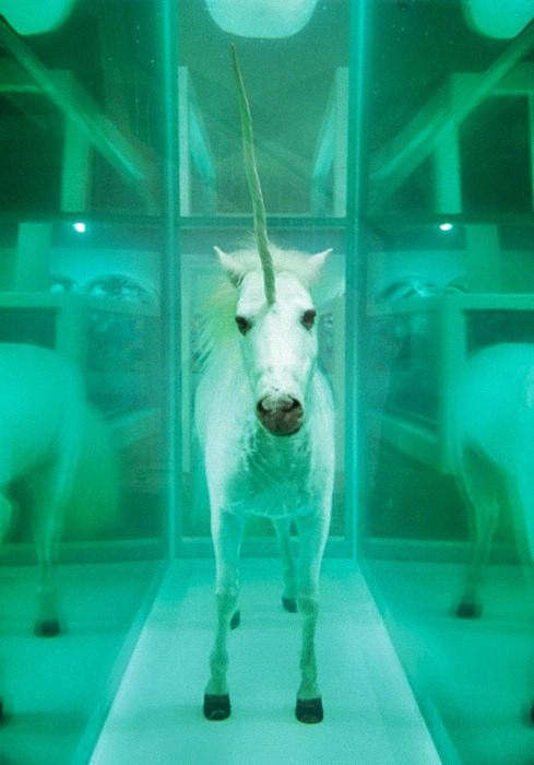 mescheveux:  The Dream by Damien Hirst 